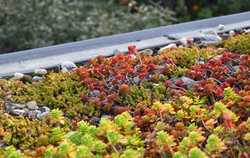 the cost of Hanscombe End green roof installation