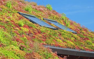 Hanscombe End living roof systems