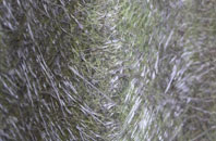 Hanscombe End fibreglass roof work